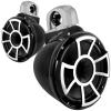 Wet Sounds REV 10 B-FC SA V2 Marine Speakers